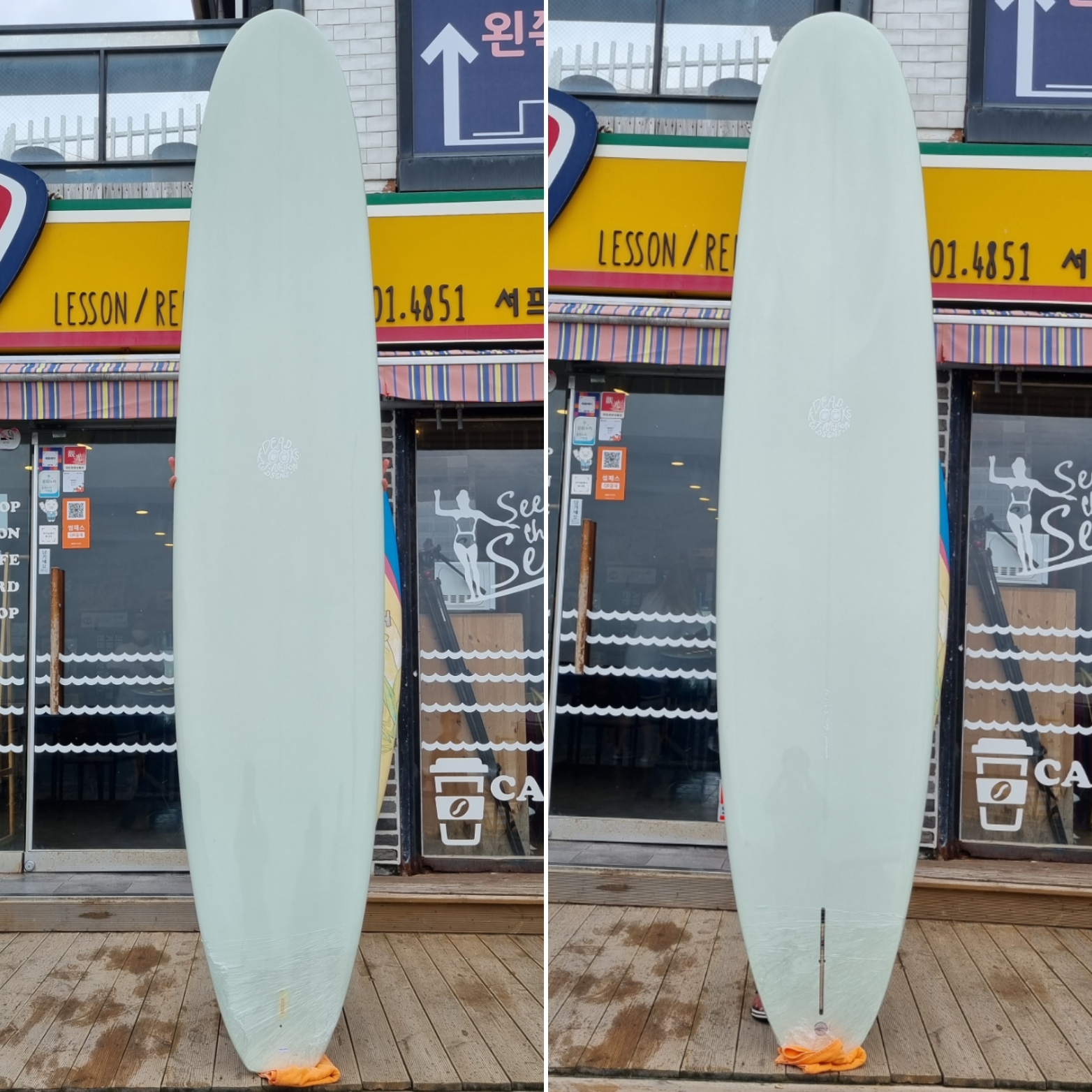 서프홀릭 : 공지사항